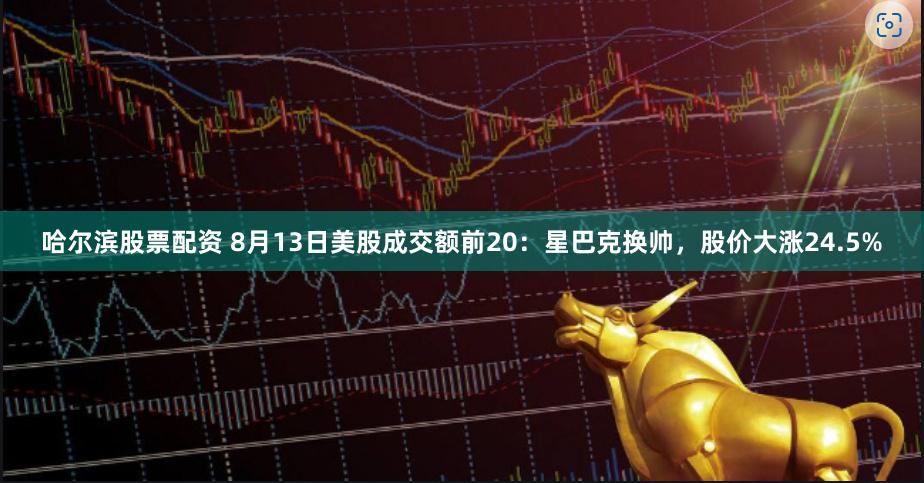 哈尔滨股票配资 8月13日美股成交额前20：星巴克换帅，股价大涨24.5%