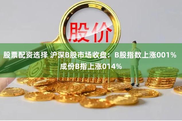 股票配资选择 沪深B股市场收盘：B股指数上涨001% 成份B指上涨014%