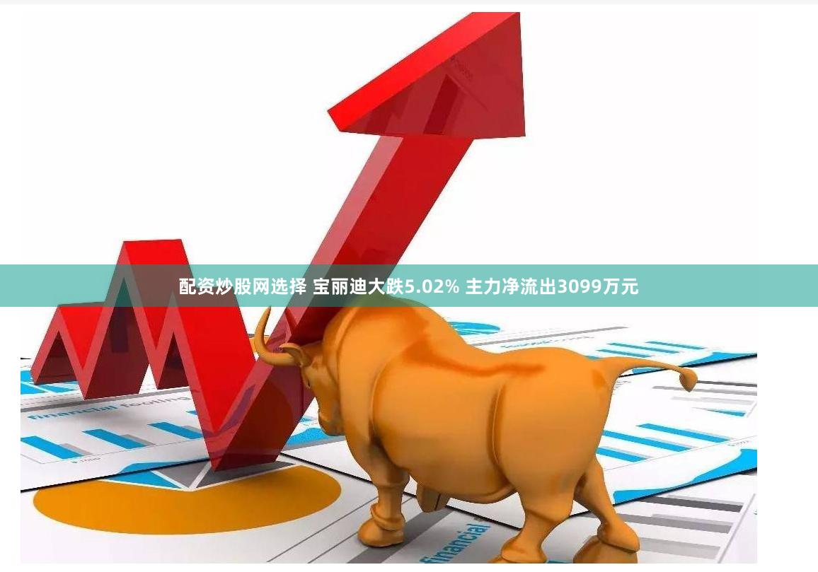 配资炒股网选择 宝丽迪大跌5.02% 主力净流出3099万元